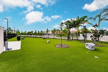 Bark park